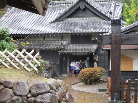 karasu291013