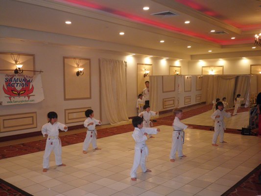 karate270517