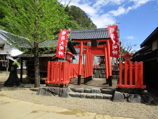 kasama010509