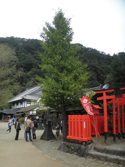 kasama2281012