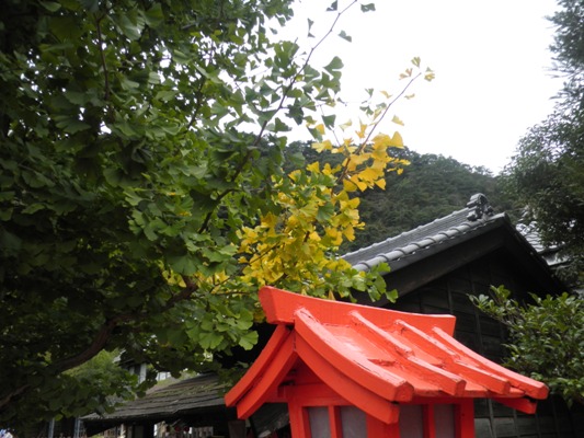 kasama3281012