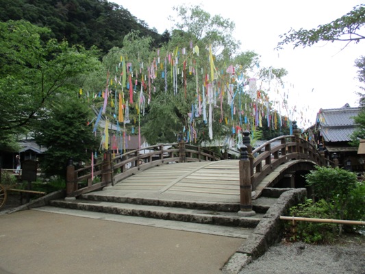 kaza3290703