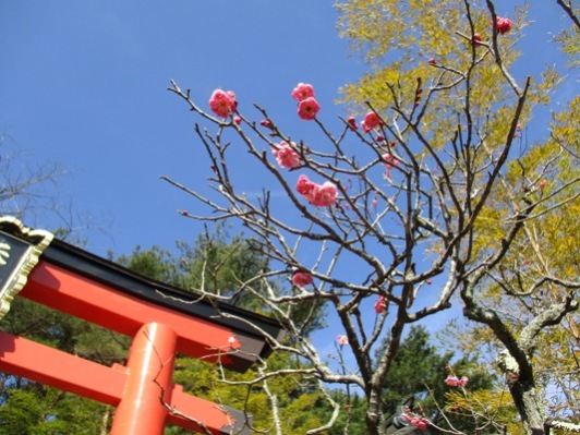 kei2310311
