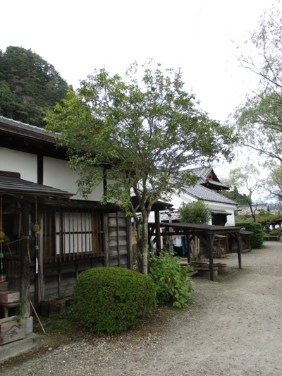 ki2010929