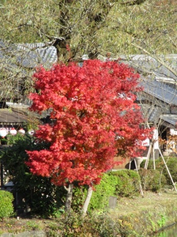 ki2011201