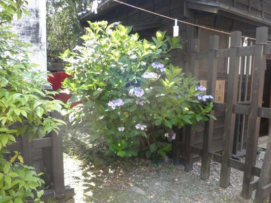 kidonaka270713