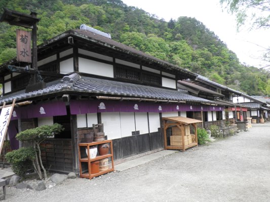 kiku1280506
