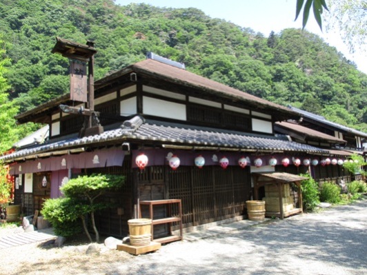 kiku1300606