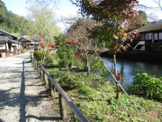 kiku2011022