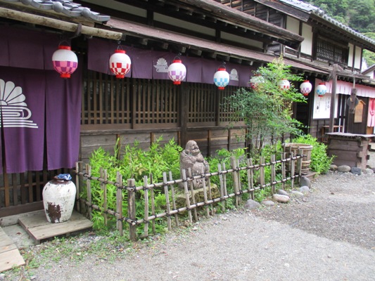 kiku2290718