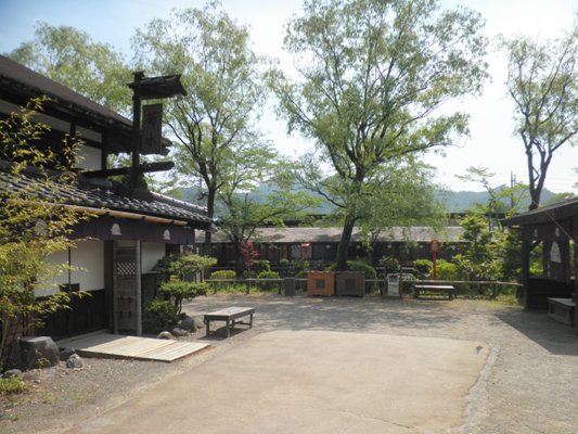 kiku280524
