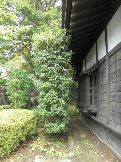 kin1280927
