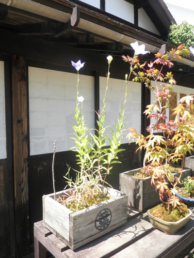 kinaka270715