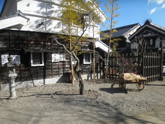 koboku1290221