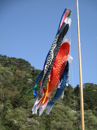 koi2300416