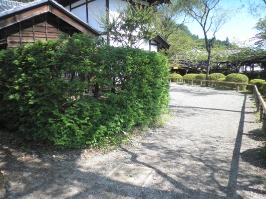 kokeen260819