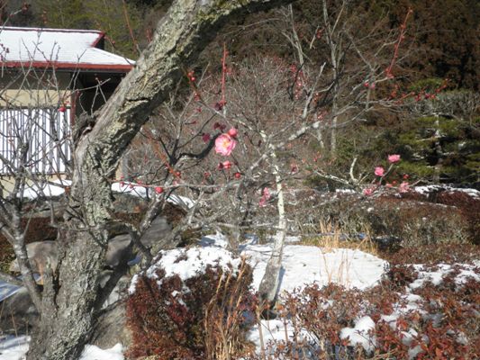 kokin270216