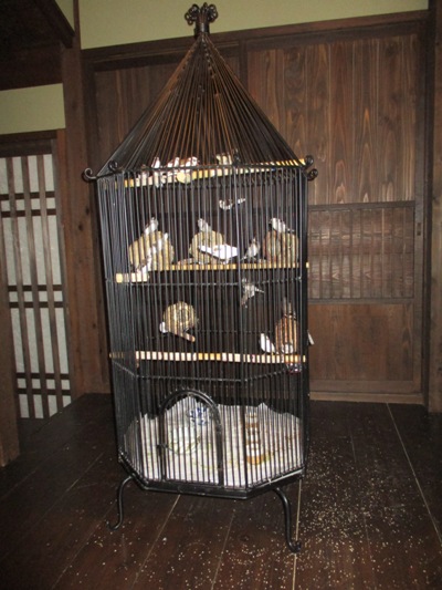 koto2290707