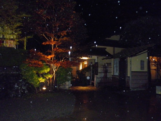 kotokai261005