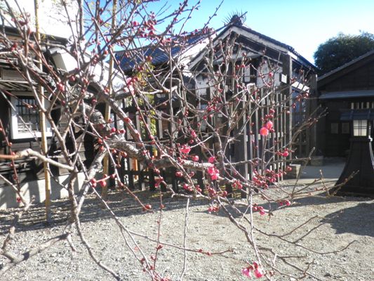 koume2290113