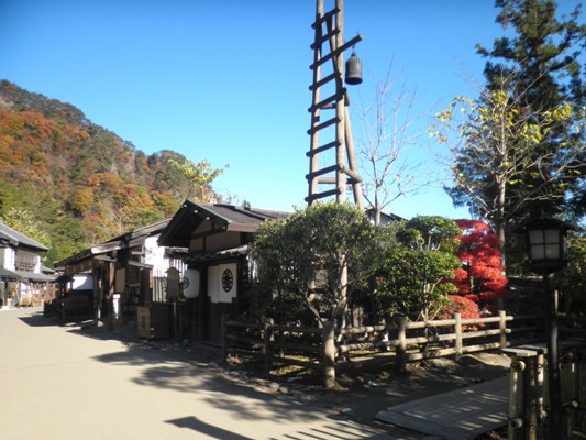 koya281116