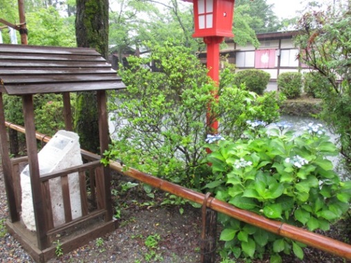 ku2010705