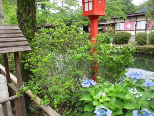 ku2010709