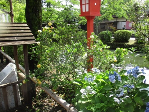 ku2010803