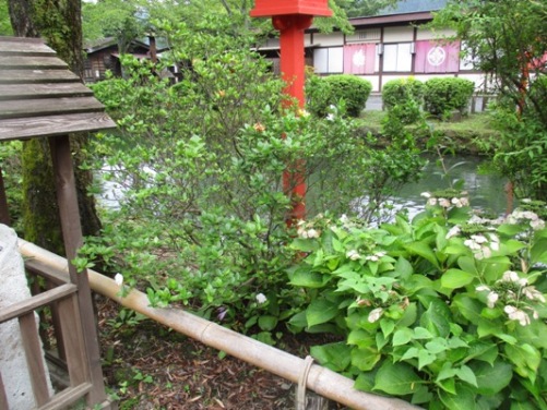 ku2010825