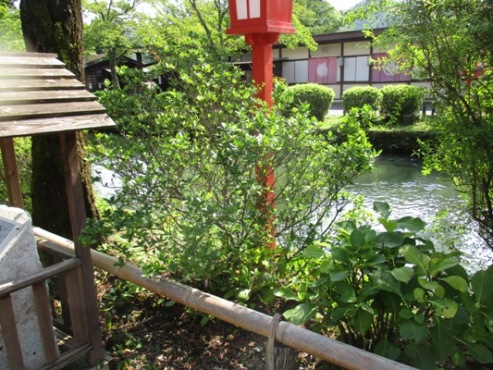 ku2010827