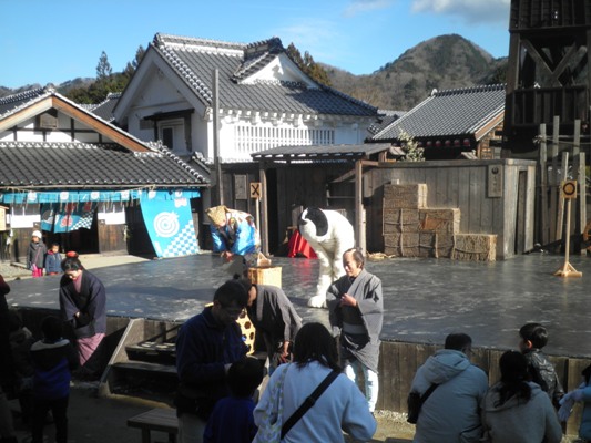 kuizu