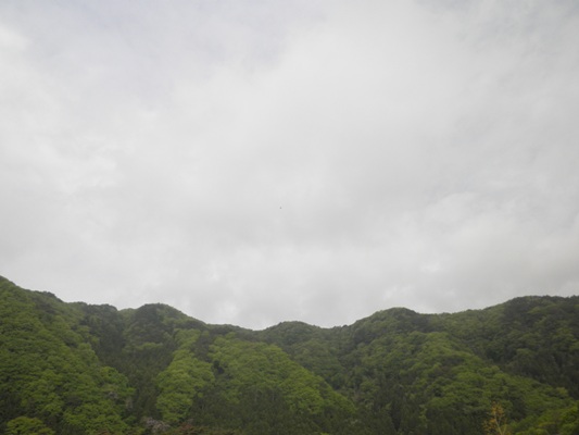 kumori270504