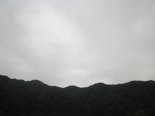 kumori270528