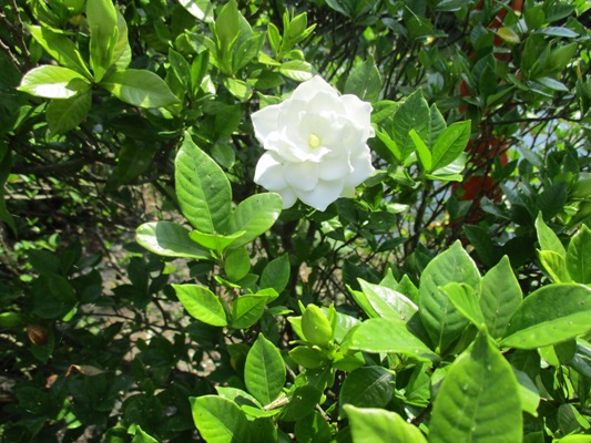 kuti3290712