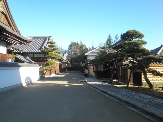 matukomo1271202
