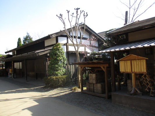 migi1300409