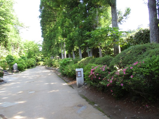 migi1300603