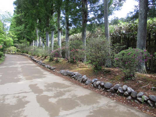 migi2010507