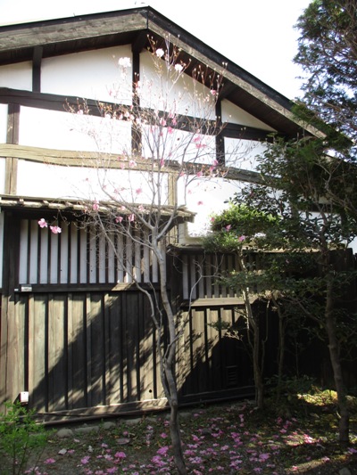 migi2300409