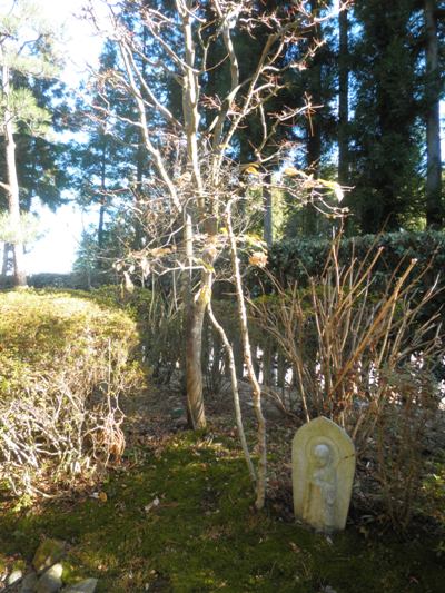 migien261225