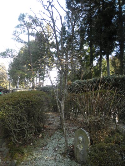 migien270103