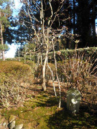 migien270113