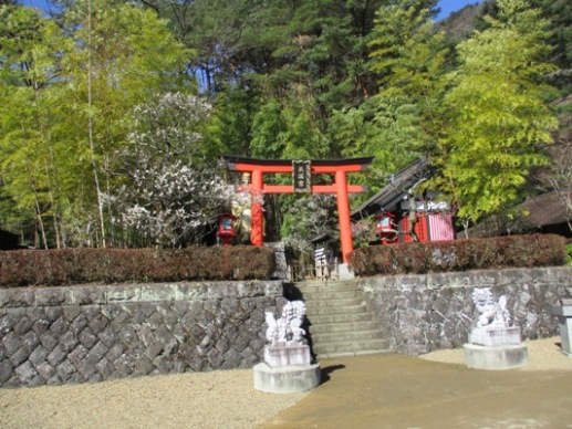 miya1020321