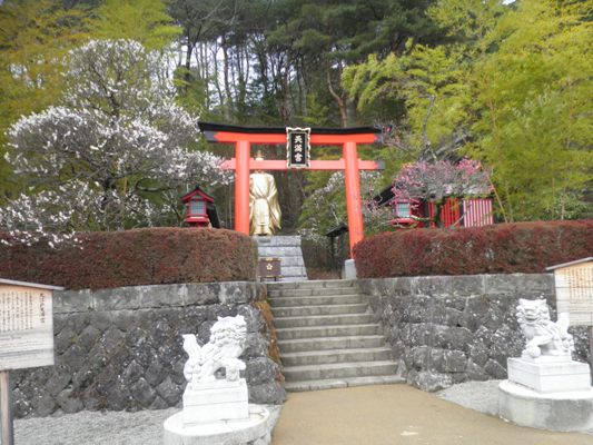 miya1280325