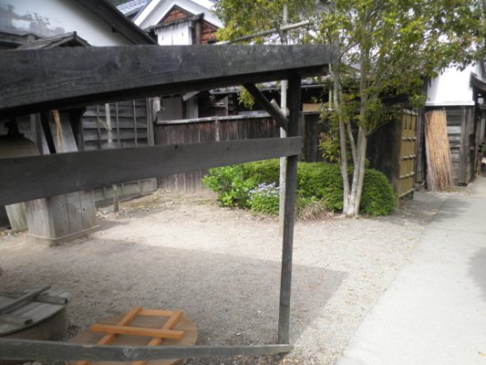 miya1280506