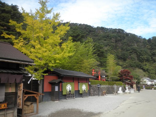miya1281026