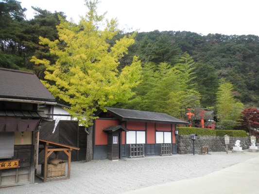 miya1281028