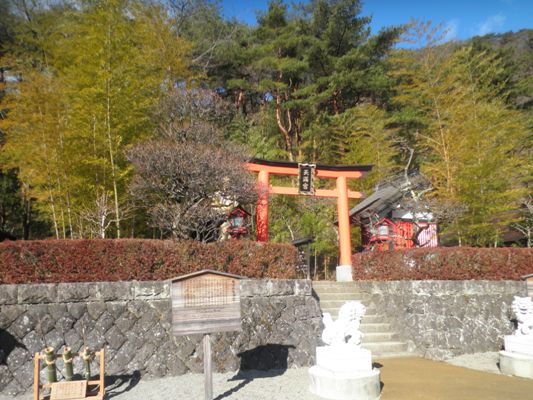 miya1290303