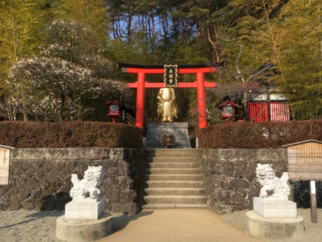 miya1290321