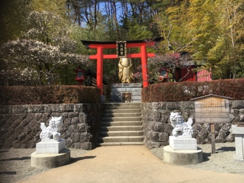 miya1290325